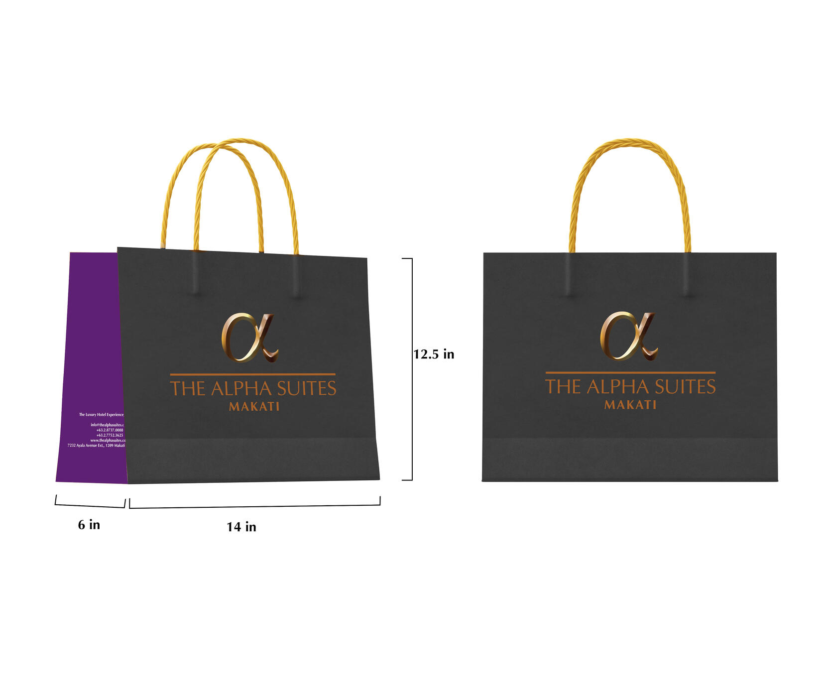 TAS Paper bag